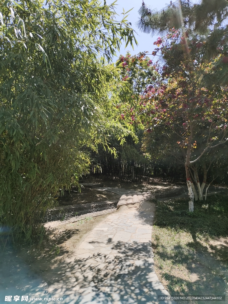 路
