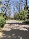 路