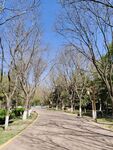路