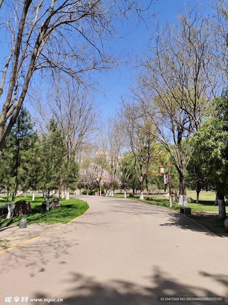 路