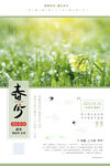 春分节气海报