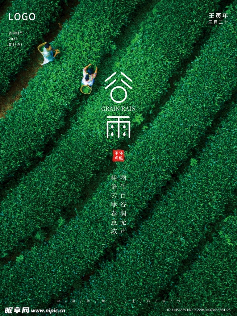 谷雨
