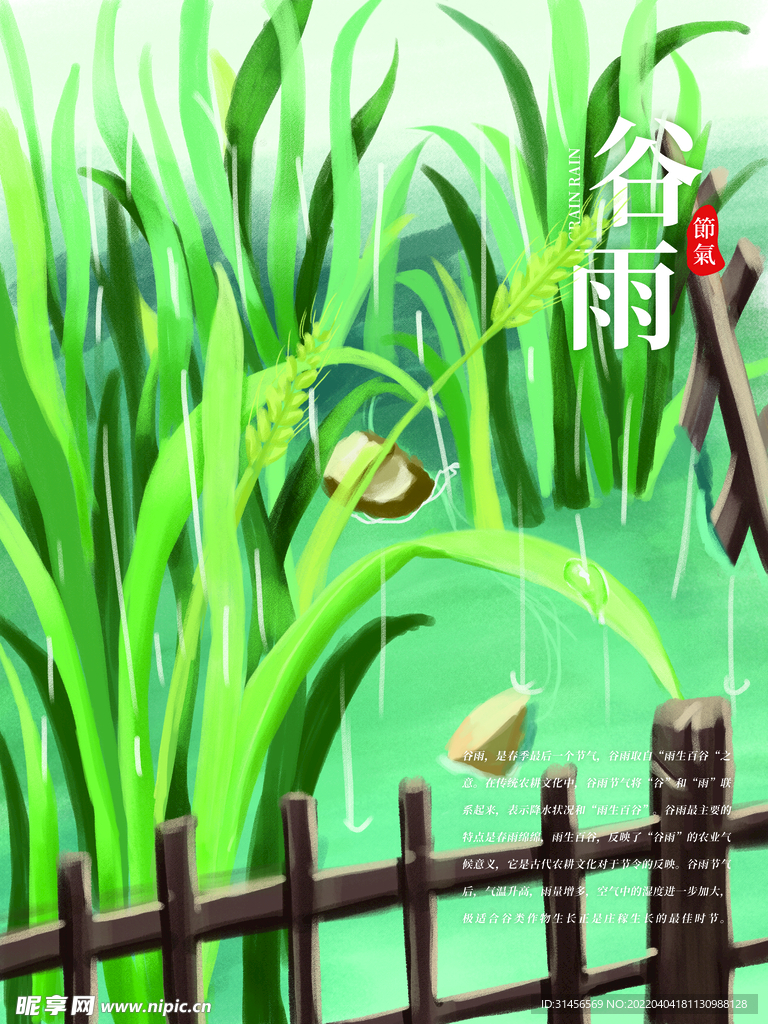 谷雨