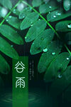 谷雨