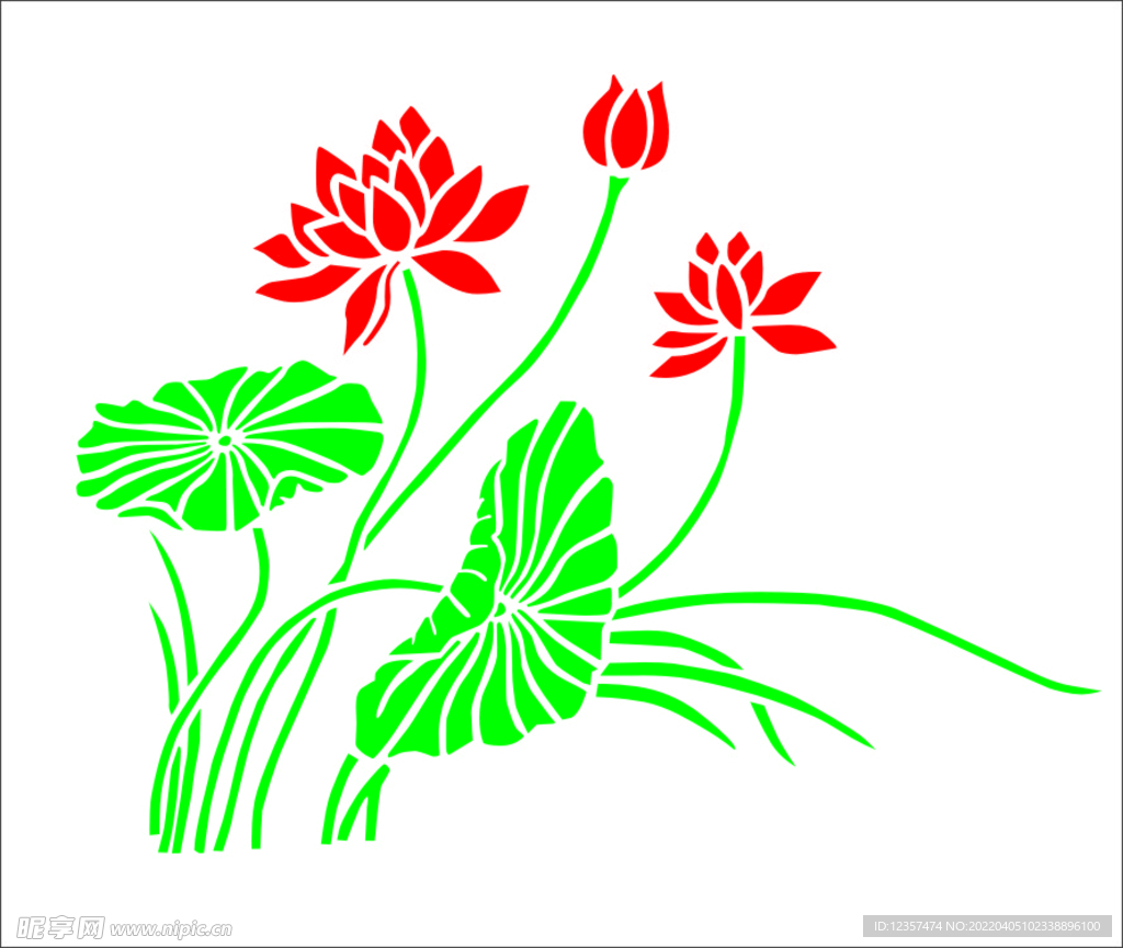 荷花 