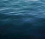 水纹