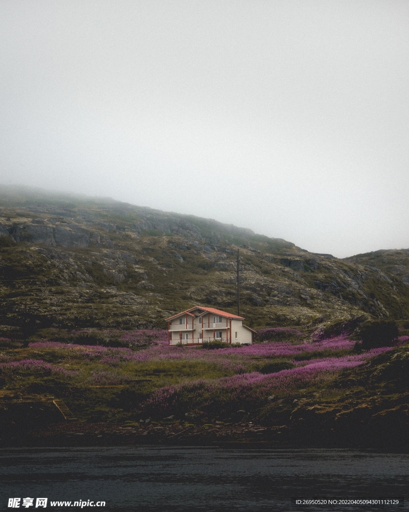 风景