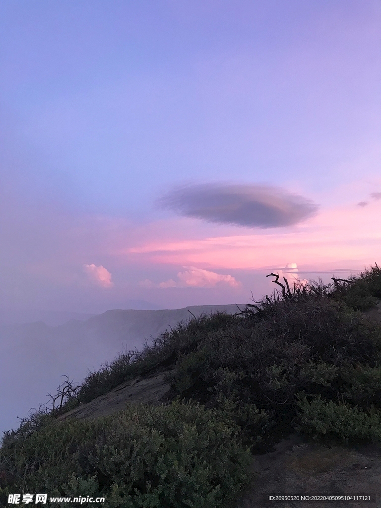 风景