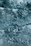 雪景