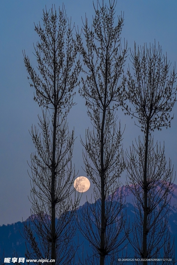 风景