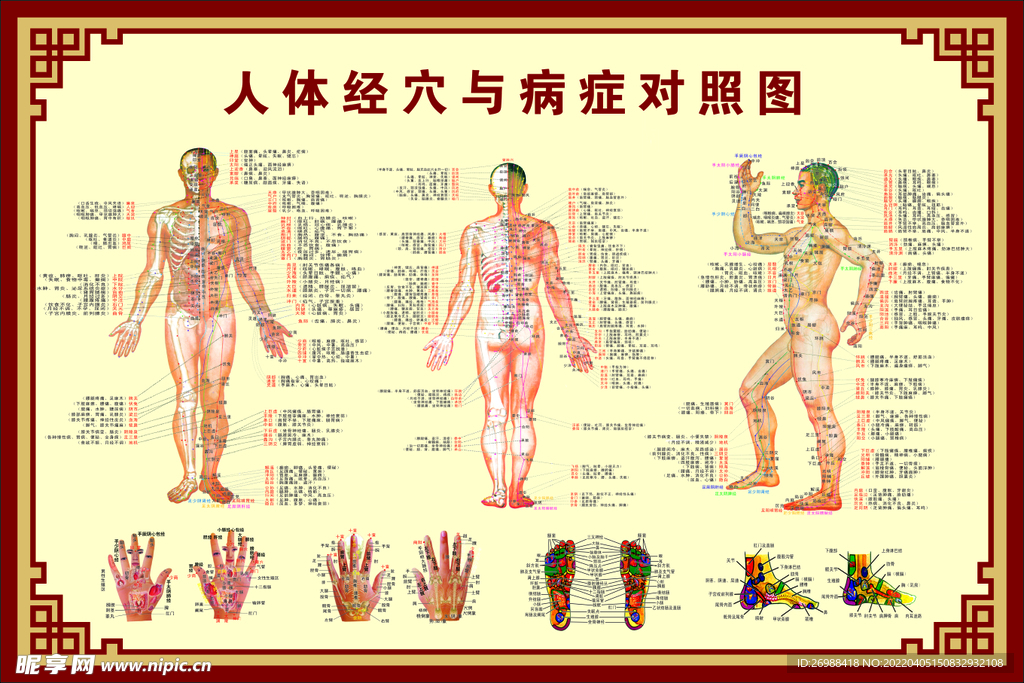 穴位对照图