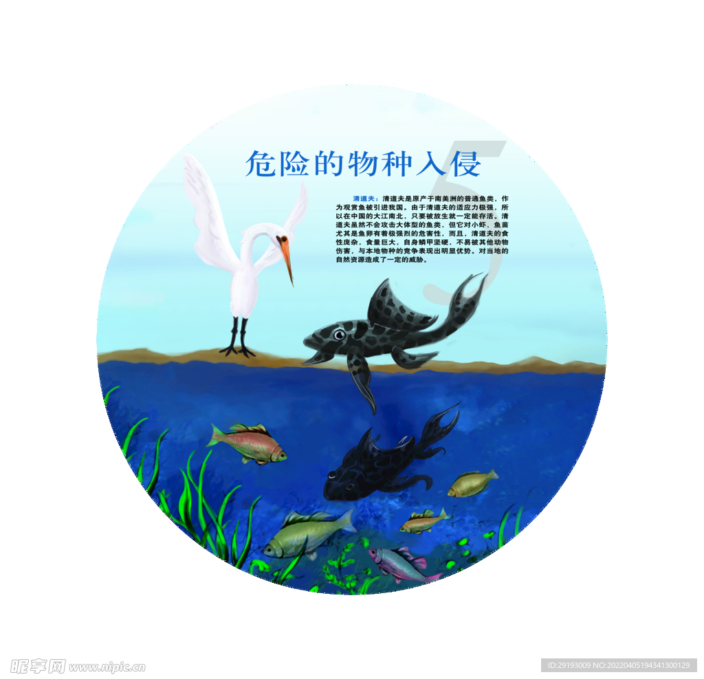 危险物种