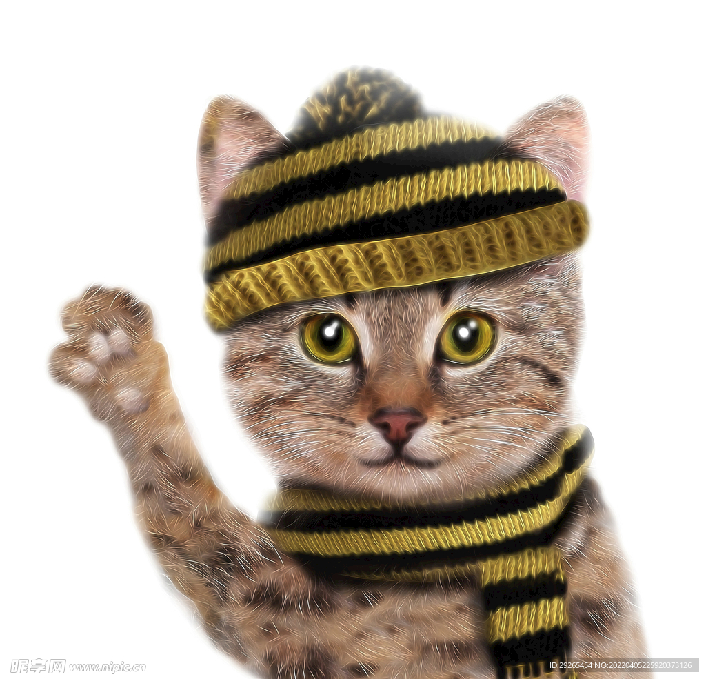 猫              