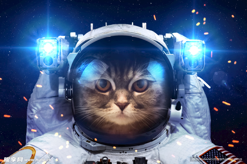 猫              