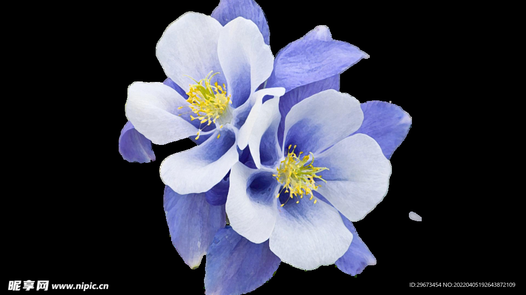 蓝色手绘植物花朵