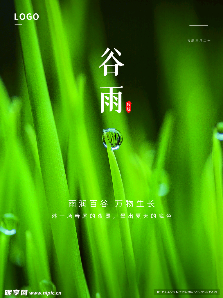 谷雨