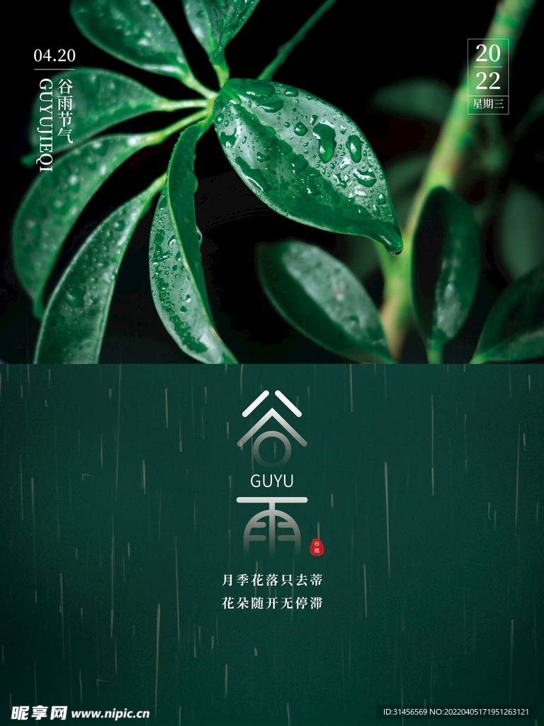 谷雨