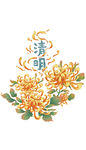 清明节菊花祭奠花卉节令节日清明