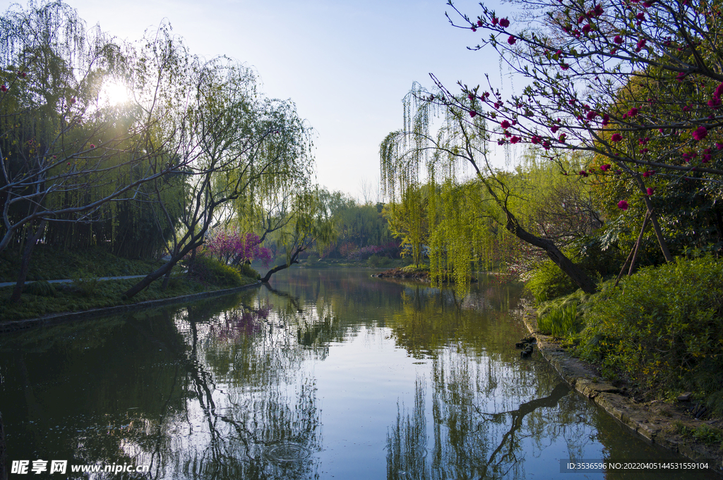 扬州三月美景 