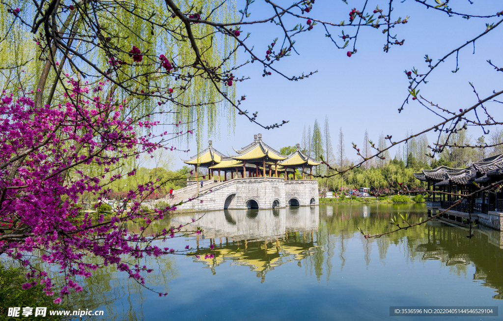 瘦西湖美景