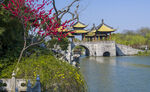 扬州春天美景
