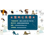 宠物 海报  小狗  可爱  