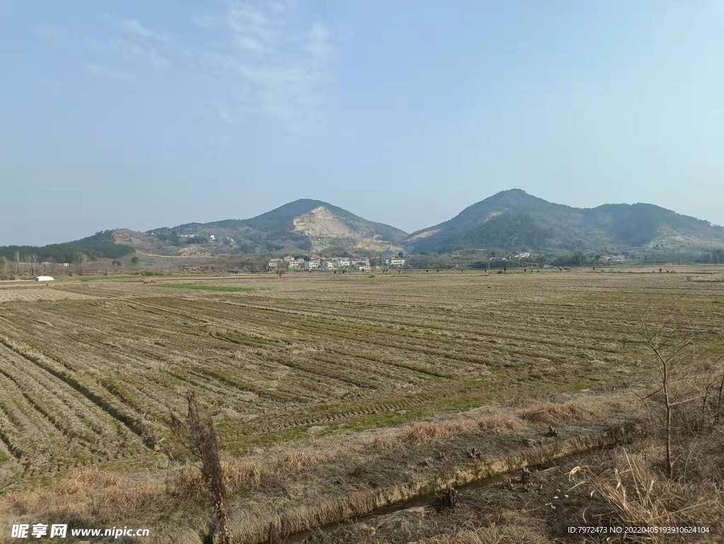 田野