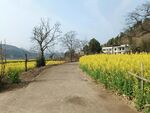 乡村