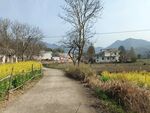 乡村的春天