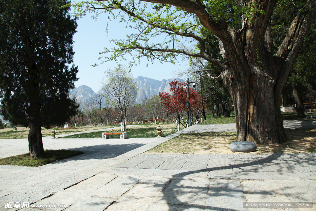 登封春景