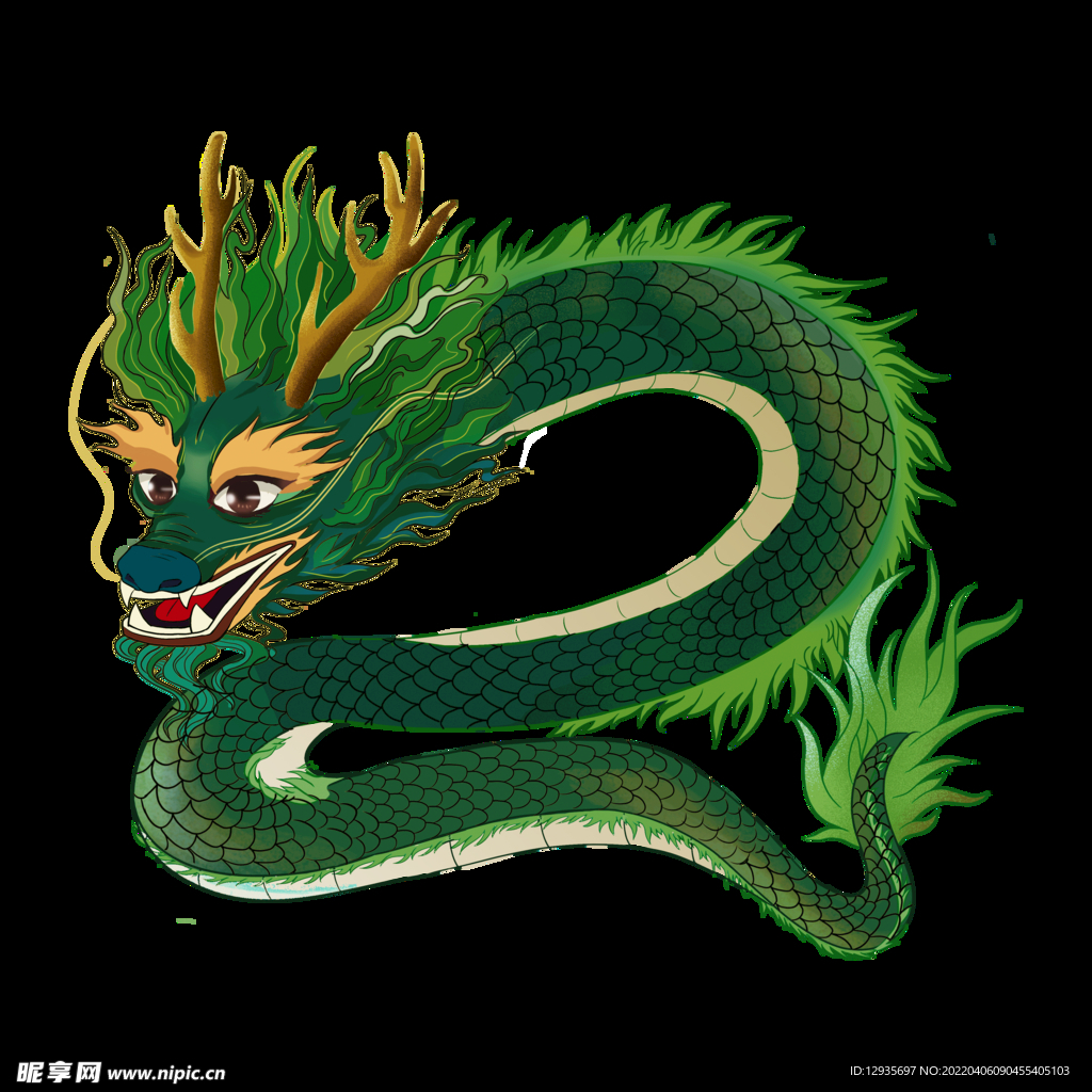 龙