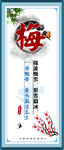 校园文化