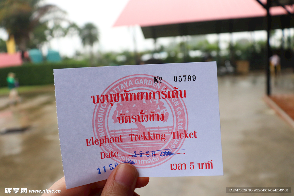 泰国旅游门票特写照片
