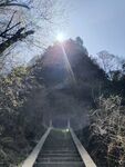 山