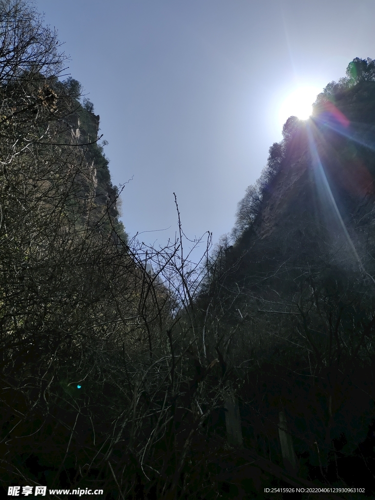 山