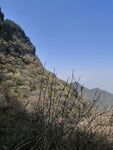 山