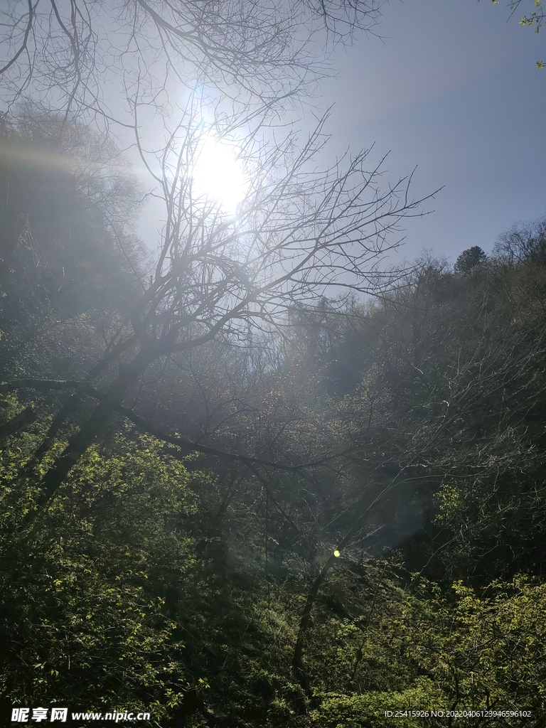 山