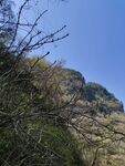 山