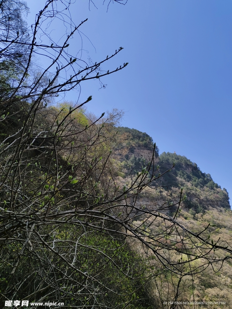 山