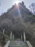 山