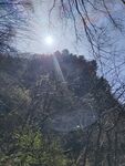 山