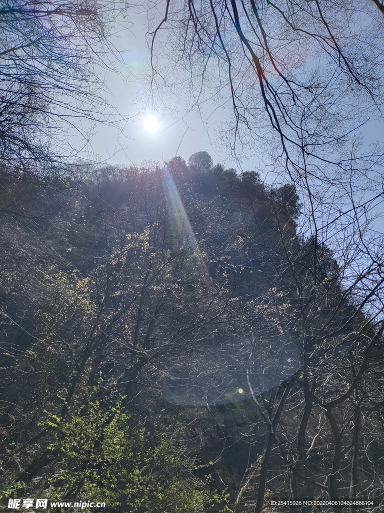 山