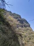 山