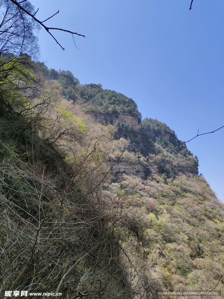 山
