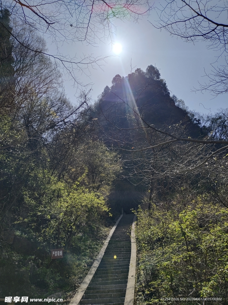 台阶