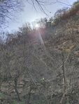 山