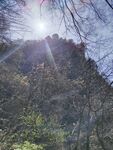 山