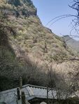 山