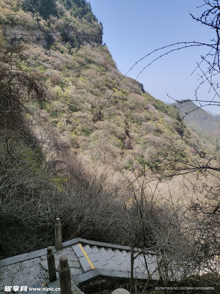 山