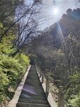 台阶